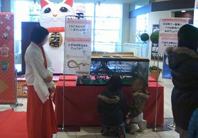 hebi2.jpg