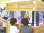kitatoda_aqa_photo_01.jpg