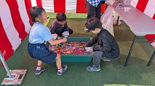 yUltwcMfzhtKSuD1739867250_1739867279.jpg